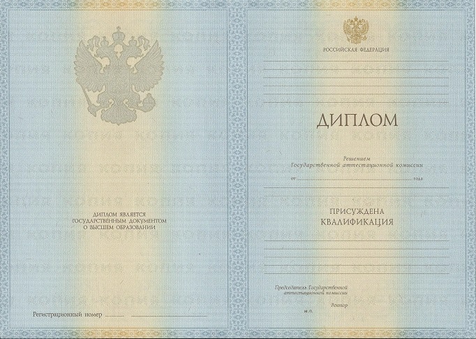 Диплом инженера 2009-2010 года